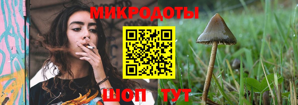 Галлюциногенные грибы Cubensis  Вход с VPN  купить наркоту  Ростов Великий 