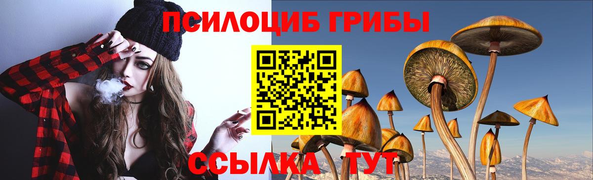 Галлюциногенные грибы GOLDEN TEACHER Ростов Великий